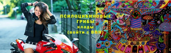 меф Белокуриха