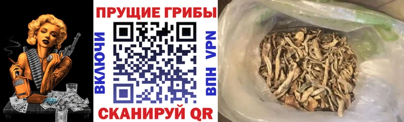 купить наркотик  кракен зеркало  Галлюциногенные грибы ЛСД  Биробиджан 